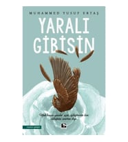 Yaralı Gibisin