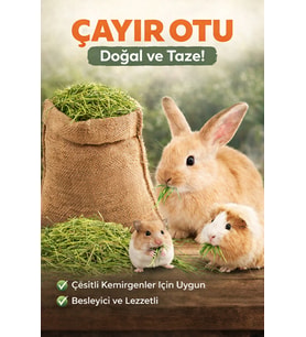 Doğal Çayır Otu Kemirgen Yemi Tavşan Hamster Ginepig Chinchilla Doğal Kurutulmuş Kemirgen Otu 200 Gr