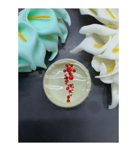 Yüz taşı Face Gems Yapışkan Burun Parmak Hızma Model45