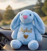 Kişiye Özel İsim Yazılı Peluş Tavşan 60 cm – Sevgiliye Hediye Kardeşe, Kuzene & Bebek Hediyesi (Açık Mavi)