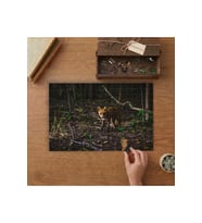 Yavru Tilki - Orman Tasarımı 240 parça Ahşap Puzzle Ahşap Kutuda MP04053