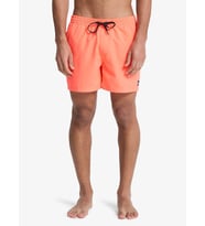 Quiksilver EVERYDAY SOLID VOLLEY 15 Erkek Volley Short EQYJV04120-QK.MKZ0 (Turuncu)