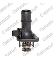 CALORSTAT VERNET TE6976105J Termostat 06A121114 FKT0030
