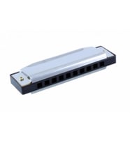 Rizo HC100 10 Delikli C (Do) Mızıka