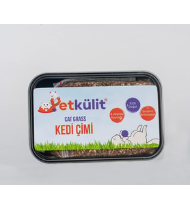 Petkülit Kedi Çimi - Siyah