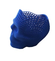 Nct  3D Printer Baskı Özel Meshli Kuru Kafa Kalemlik Mavi