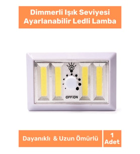 Home Series Gün Işığı Sert Plastik Pilli Sabitlenir Dimmerli Işık Seviyesi Ayarlanabilir Ledli Lamba