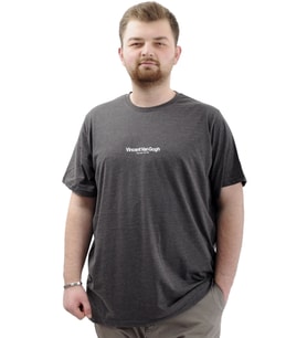 Mode XL Büyük Beden Baskılı Erkek T-Shirt Bisiklet Yaka VAN GOGH U24040 Antrasit