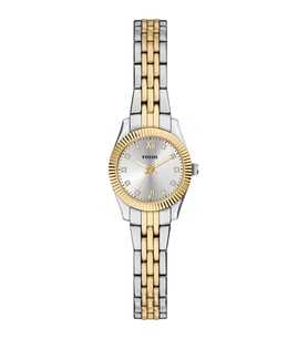 Fossil FES5473 Kadın Kol Saati