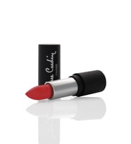 Pierre Cardin Matte Chiffon Touch Lipstick - Neon Orange -187 (Karışık)