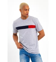 Erkek  Bisiklet Yaka Regular Fit Garnili  Tişort SPR23TS301 (Grimelanj)
