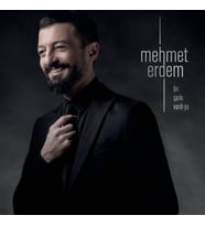 Mehmet Erdem Bir Şarkı Vardı Ya - Plak (Standart)
