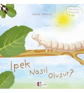 Oluşum Hikayeleri - İpek nasıl oluşur?