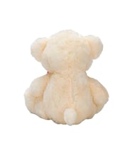 1001522 PELUŞ AYI OTURAN KURDELELİ KALPLİ 42 CÖ 2A (adet fiyatıdır)