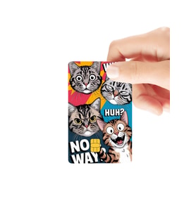 Kediler Kolaj Parlak Kredi/Banka Kart Kaplama Sticker