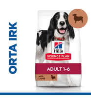 Hills Lamb Kuzu Etli Yetişkin Köpek Maması 2,5 Kg
