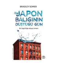 Bir Japon Balığının Düştüğü Gün