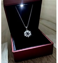 Işıklı  Kutuda Zirkon Taşlı Lotus/Kar Tanesi Figürlü Gümüş Kolye