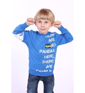 Toontoy Erkek Çocuk Ön Ve Kol Baskılı Sweatshirt (Saks)