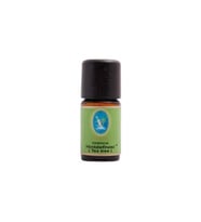 Nuka Çay Ağacı Yağı -Hint defnesi Organik (Tea Tree) 10 ml.