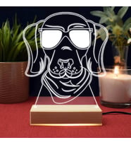 Cool Dog Tasarım 3d Led Lamba
