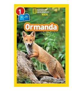 Ormanda - Seviye 1