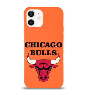 Apple iPhone 12 Mini  Lansman Kılıf Chicago Bulls Tasarımlı Altı Kapalı İçi Kadife Kaplı  Kapak (Şeffaf)
