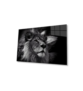Aslan Cam Tablo 4mm Dayanıklı Temperli Cam (Çok Renkli)