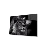 Aslan Cam Tablo 4mm Dayanıklı Temperli Cam (Çok Renkli)