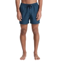 Quiksilver Deluxe 15 Erkek Deniz Şortu