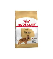Royal Canin Cocker Adult Yetiskin Köpek Mamasi 3 kg