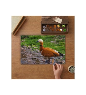 Angu Kuşu - Ördek Tasarımı 240 parça Ahşap Puzzle Ahşap Kutuda MP04149