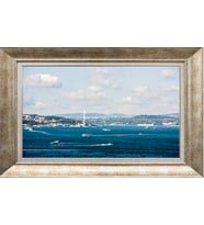 GÜMÜŞ ÇERÇEVELİ TABLO N489