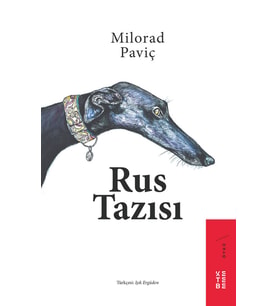 Rus Tazısı Milorad Paviç