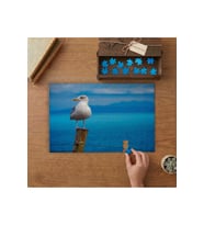 Sevimli Yavru Martı Tasarımı 240 parça Ahşap Puzzle Ahşap Kutuda MP04598