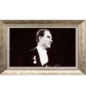 GÜMÜŞ ÇERÇEVELİ TABLO N696