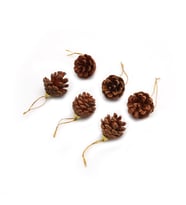 Yılbaşı Çam Ağaç Süsü Kozalak 6 lı Paket - Merry Christmas - Kozalak Paketi (Karışık)