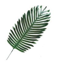 Yaprak palmiye modeli 44 cm pk:5-