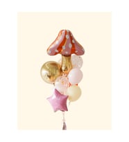 MANTAR FOLYO BALON SET