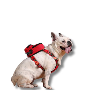 Lexroo Design,Çantalı Göğüs Tasması, Köpek Sırt Çantası