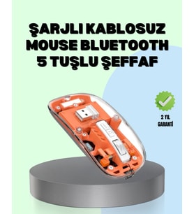 Şarjlı Ergonomik – 1600 Dpi, Sessiz Tıklama Özellikli - Lisinya