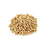 Kişniş 100 gr