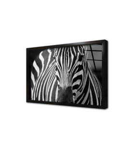 Yakın Çekim Zebra Çerçeveli Cam Tablo