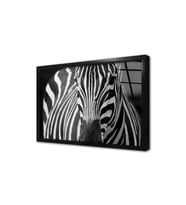 Yakın Çekim Zebra Çerçeveli Cam Tablo