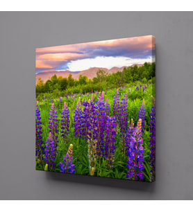 SÜMBÜL MANZARASI KANVAS TABLO 90x90cm (Karışık)