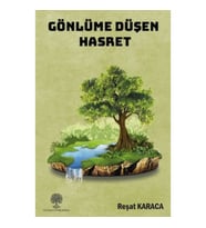 Gönlüme Düşen Hasret