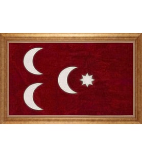 ALTIN ÇERÇEVELİ PASPARTULU TABLO CR174