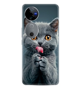 Vivo V40 5G Kılıf Boutique Baskılı Resimli Komik Kedi Pcode -008
