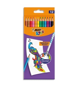 Bic 987868 Evolution Silinebilir Kuru Boya 12 Renk