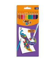 Bic 987868 Evolution Silinebilir Kuru Boya 12 Renk